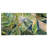 " Sun-Tripped Tropicals "