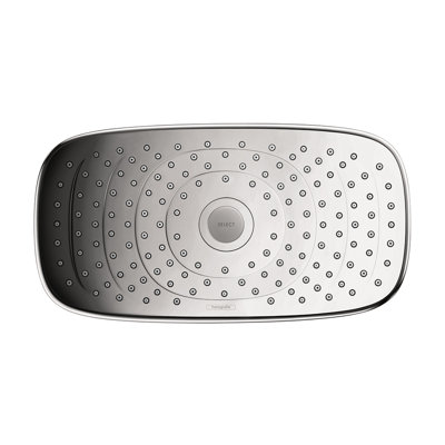 Raindance Rain Shower Head with Select