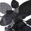 Wall Decor on Metal