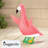 Flamingo Large Goose Outfit