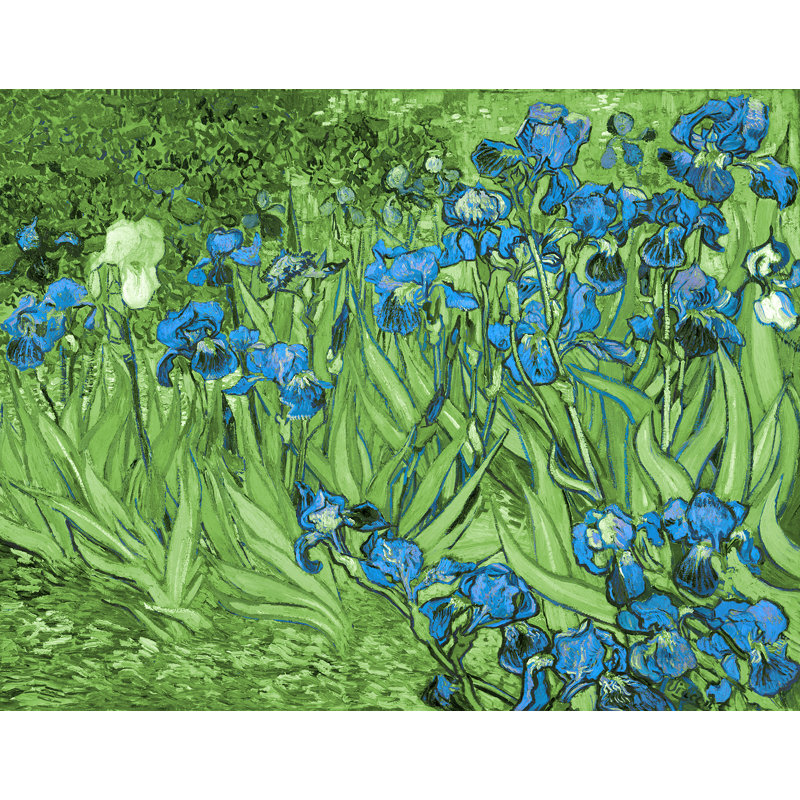 Décalcomanie murale amovible irises de van gogh, H 36 po x l 48 po, Marine / vert