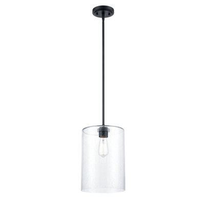 1 - Light Unique/Statement Pendant