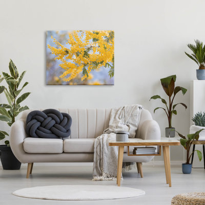 Mimosa jaune, fleurs, art giclée par Lil 'Rue