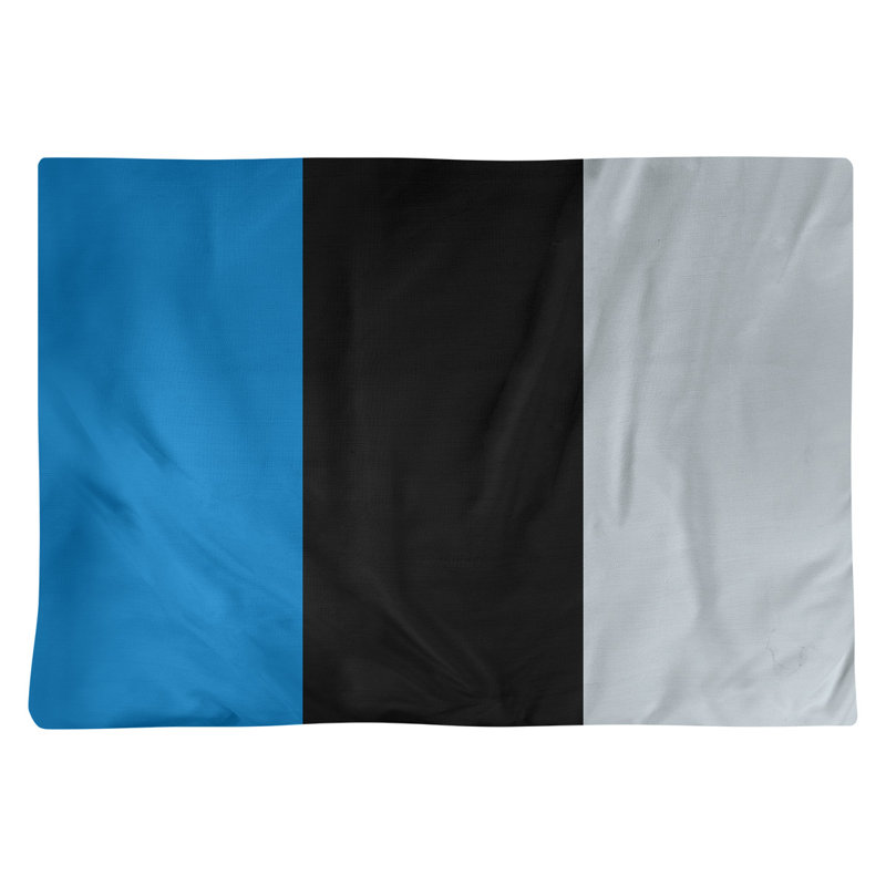 Récapitulatif 18" basket Orlando, Bleu / noir / argent, Polyester