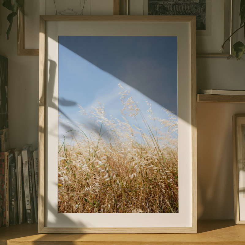 Wrapped Canvas Print, 76.2 cm H x 50.8 cm W