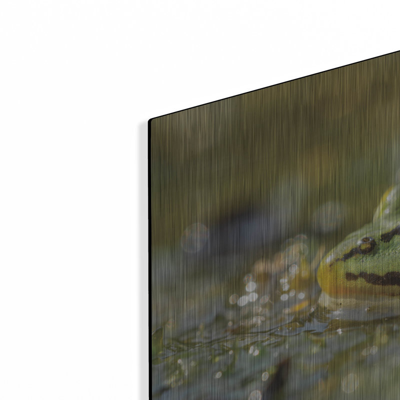 «Frog» par Martin Podt, H 12 po x l 16 po