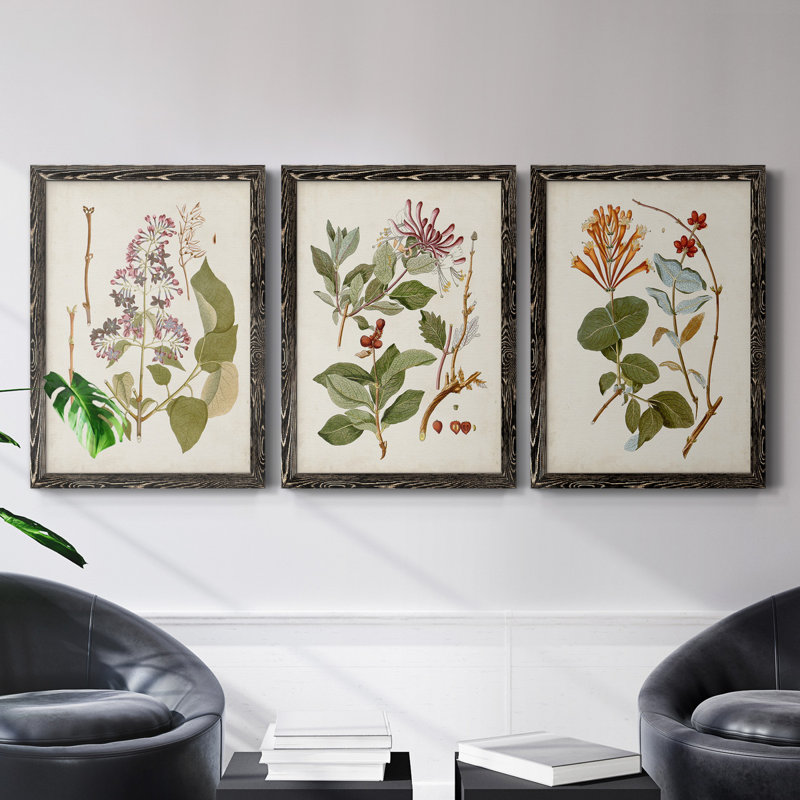 «Vintage Flowering Trees II», ensemble de 3 reproductions d'art sur toile, Toile avec cadre noir