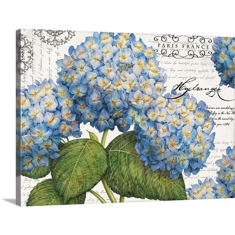 Art mural sur toile botanique, Toile tendue, H 24 po x l 32 po x P 1,25 po