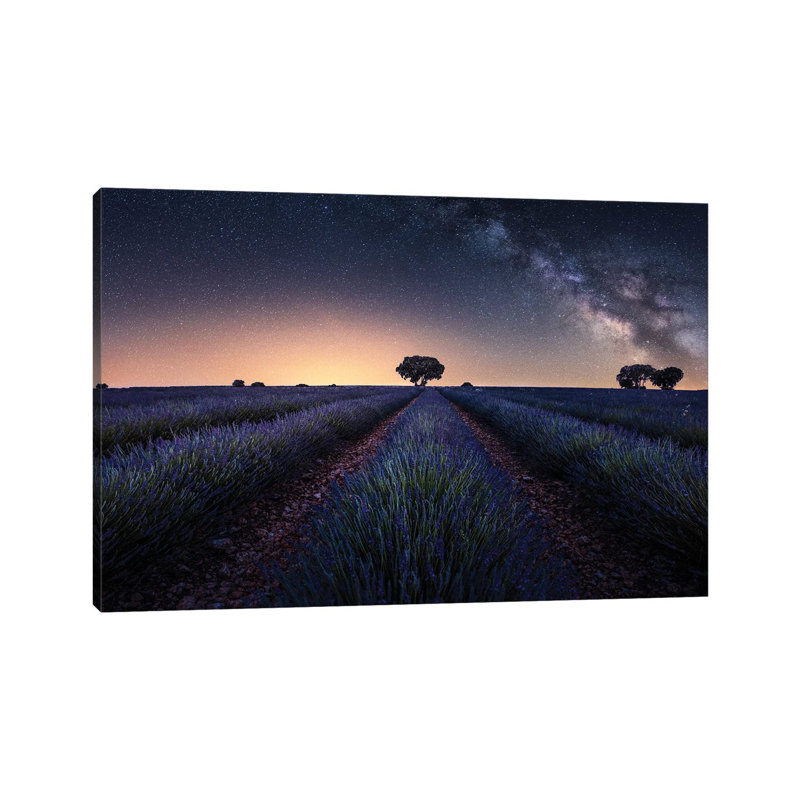 Lavender Fields by Jorge Ruiz Dueso - Wrapped Canvas Print, 20.32 cm H x 30.48 cm W