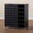 Modern and Contemporary  2 Door Wood 24 Pair Shoe Storage Cabinet with Open Shelves