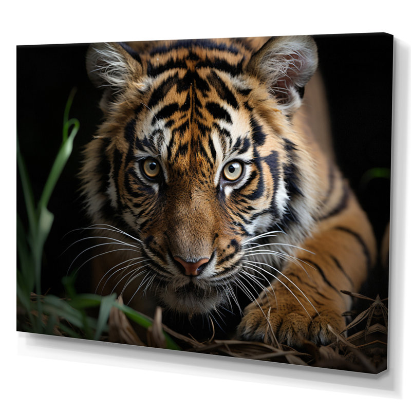 Portrait de tigre brun - art mural tigre, Toile tendue, H 16 po x l 32 po x P 1 po