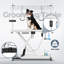 Table de toilettage électrique à hauteur ajustable pour animaux avec accoudoirs et boucles doubles