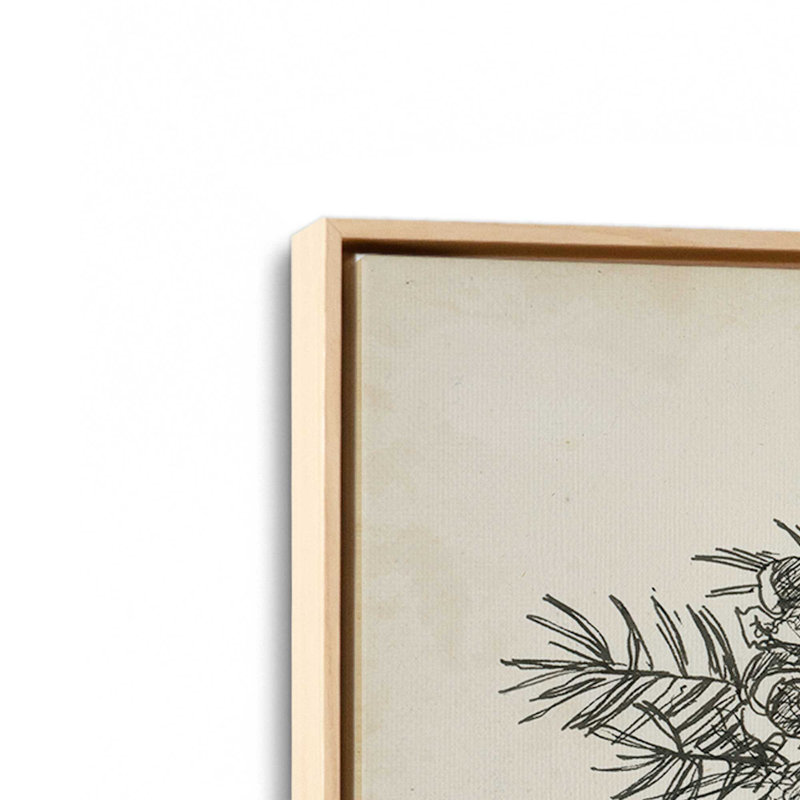 «Christmas Conifers II» par Ethan Harper, reproduction d'art sur toile, H 20 po x l 30 po, Tanné