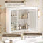Armoire de rangement murale 42 po avec miroir