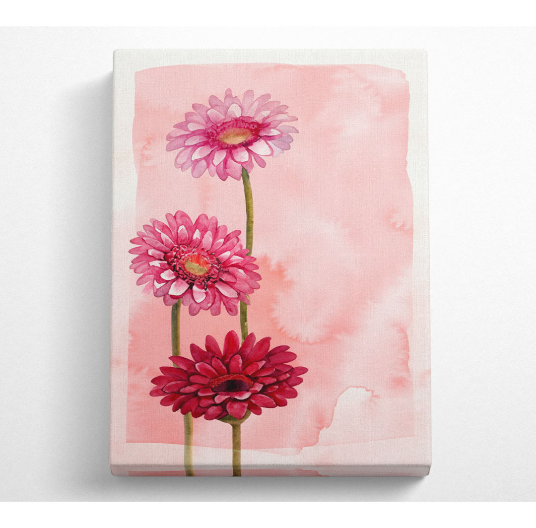 Gerbera Trio - Kunstdrucke auf Leinwand - Wrapped Canvas