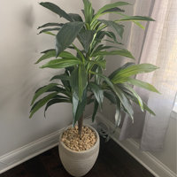 Latitude Run® 48 H Artificial Foliage Plant in Planter & Reviews