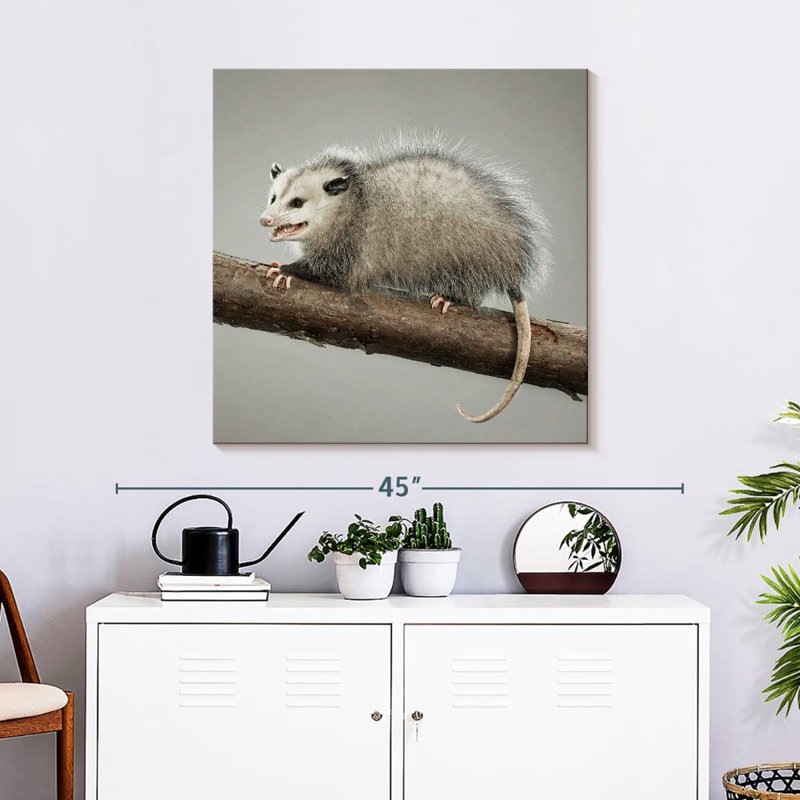 Brampt Snarky Opossum, 30'' H x 30'' W