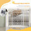 Safety Gate