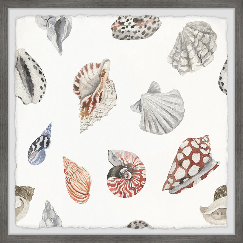 Ventnor Sea Animals by Marmont Hill - Single Picture Frame Painting