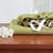 Ultra Soft Microfiber Deep Pocket Single Fitted Sheet-109426690-109426701