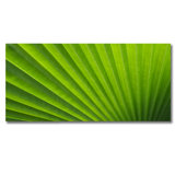 Green Palm! Print