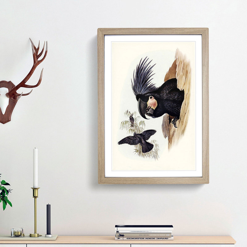 Great Palm-Cockatoos by Elizabeth Gould - Picture Frame Painting Print, 65cm H x 48cm W x 2cm D, Oak Framed