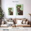 Âne succulente-108634169