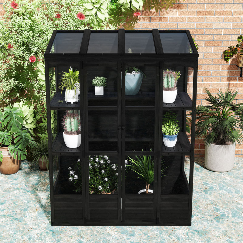 78-inch Walk-in Wood Greenhouse with 4 Skylights, 2 Folding Shelves, Anti-Fall Protection, Black