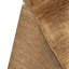 Wool Area Rug