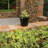 Handmade 2-Piece Ceramic Indoor Pot Planter Set-88134111