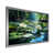 Silver Single Picture Framed