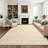 Washable Area Rug for Living Room Modern Solid Color Dining Room Throw Carpet, Beige 4x6-1032790264-1032790260