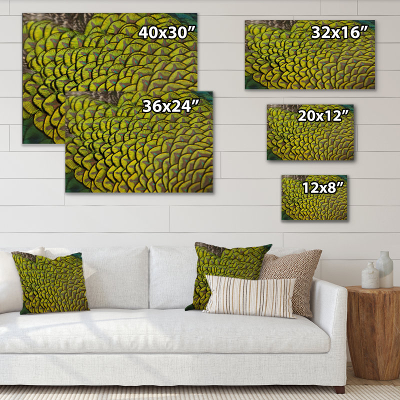 «Green Peacock Feathers II», reproduction d'art sur toile, H 8 po x l 12 po x P 1 po, Toile tendue