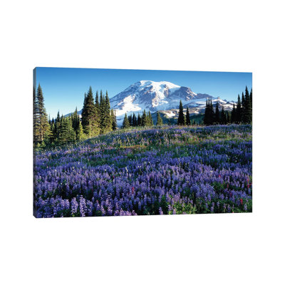 Snow-Covered Mount Rainier with a Wildflower Field in the Foreground, Mount Rainier National Park, Washington, USA 1 Piece Wrapped Canvas Wall Art