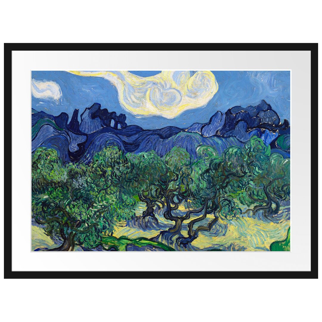 Gerahmter Kunstdruck The Olive Trees von Vincent Van Gogh