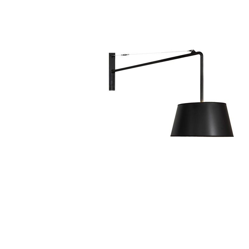 1 - Light Swing Arm