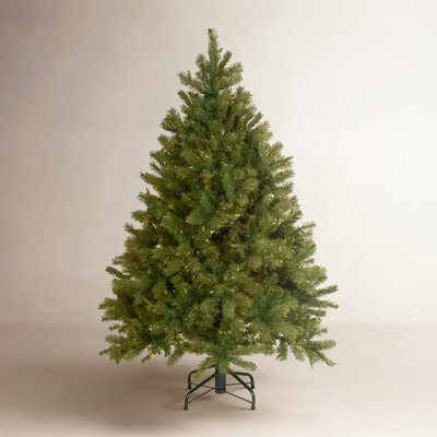 Douglas 4.5' Pre-Lit Fir Tree