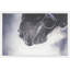 Parvez Taj - Single Picture Frame Print-19701072