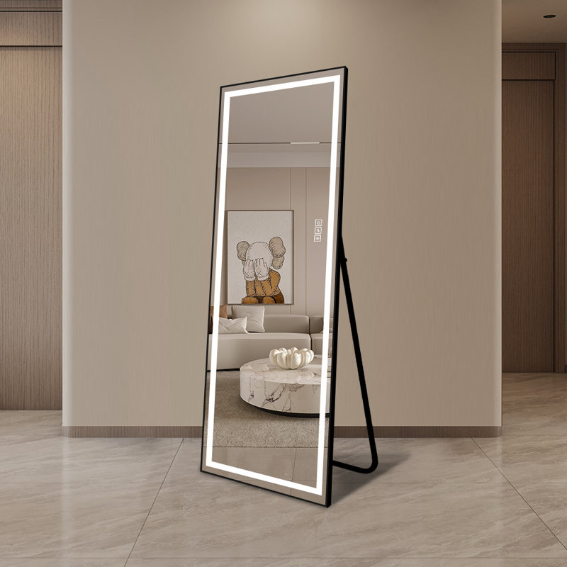 Chardey Metal Flat Mirror, 65" x 24"