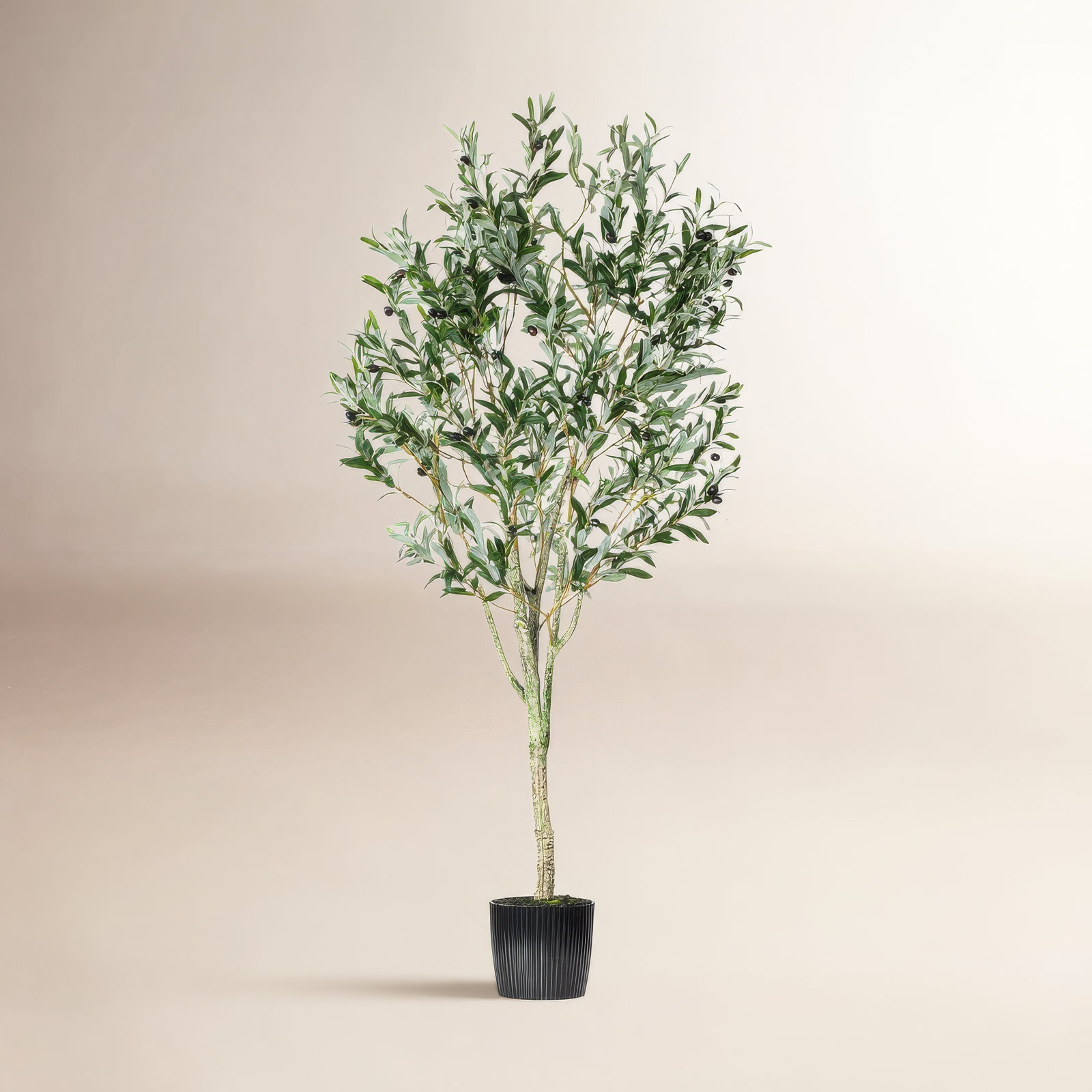 72" Olive Tree in Pot, 72" H x 35" W x 35" D