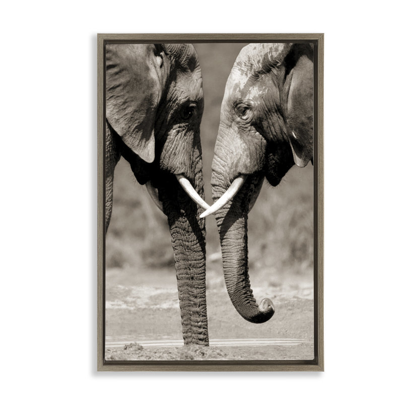 Paire d'éléphants réconfortants, Cadre flottant orme Montalcino, H 25 po x l 17 po