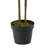 Larson 48 " H Faux Dracaena Tree in Plastic Planter