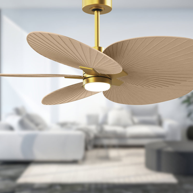 Alessandra Tropical - Five Blade Ceiling Fan - Integrated LED -Matte Black Finish -Light Blue Blades, Brushed Brass