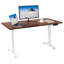Dionysius Electric Height Adjustable Standing Desk-532283478-487463098-440823783