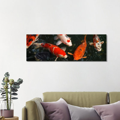 Koi Carp In Japan - Wrapped Canvas Panoramic Print