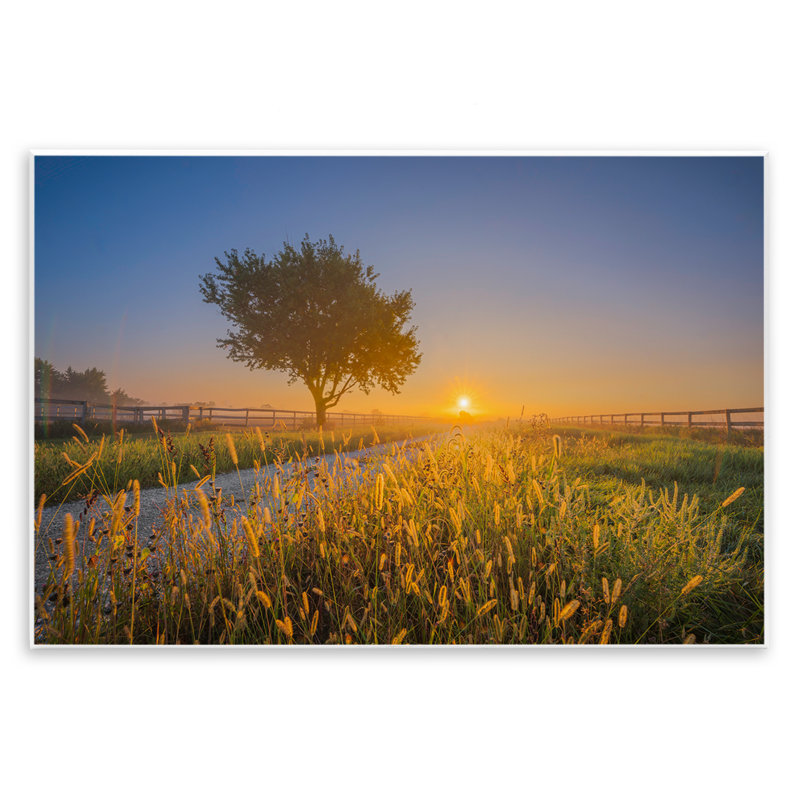«Rising Sun Horizon» par Marty Hulsebos, H 10 po x l 15 po