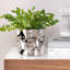 Vase de table en pot Face Pot-141806837-141806827