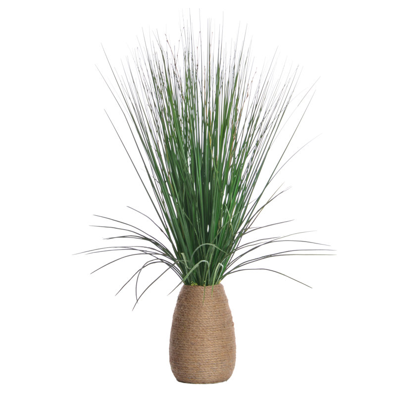 Herbe de 29 po de hauteur avec brindilles dans un pot en corde de chanvre effilé, 1