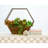 Kaeden Wood Wall Planter