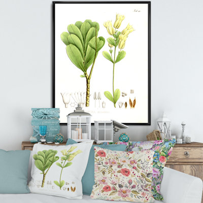 Plante brésilienne rétro III - peinture sur toile